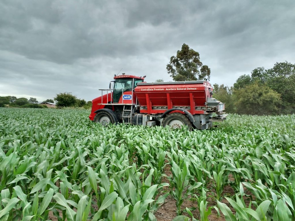 ColorittoCab's tweet image. Refertilizacion variable en maíz #yara #nsensor #refertilizacion