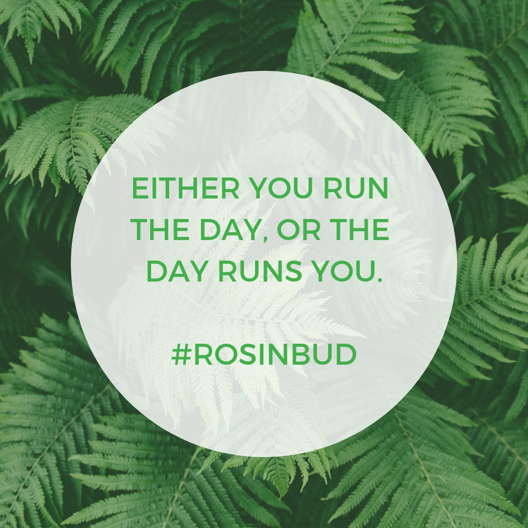 rosinbud's tweet image. #MondayMotivation: how do you tackle mondaze? #rosinbud #rosintech