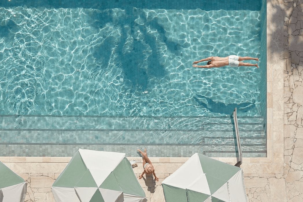 Celeste Mitchell tweet media