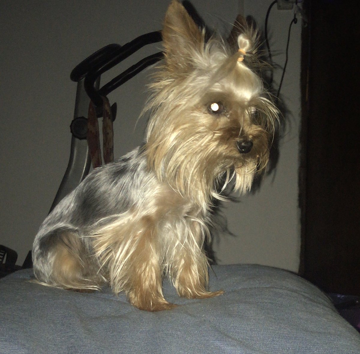 Yamila Piñero ♔ tweet media