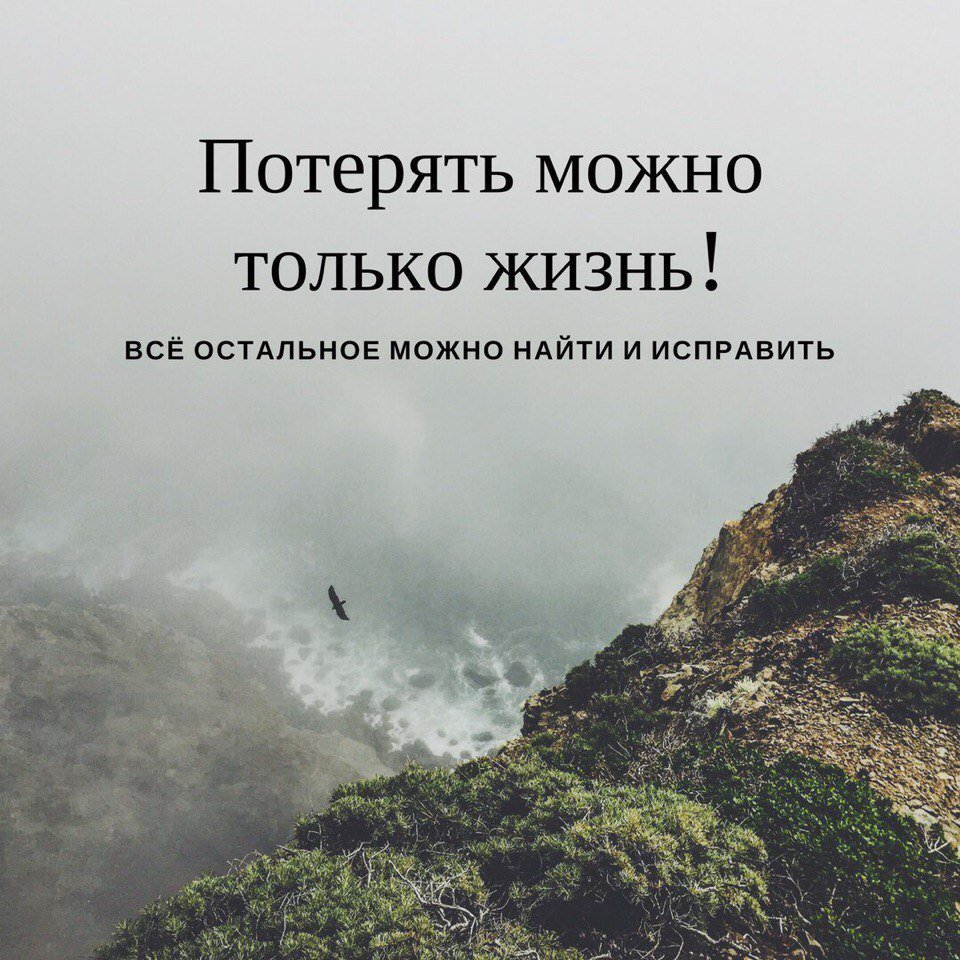 Мудрость веков (@delaisam) on Twitter photo 