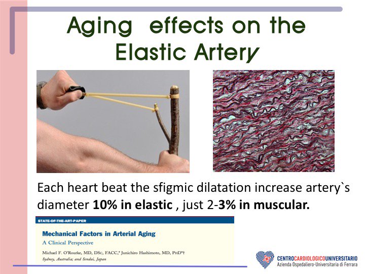 Carlo Tumscitz tweet media