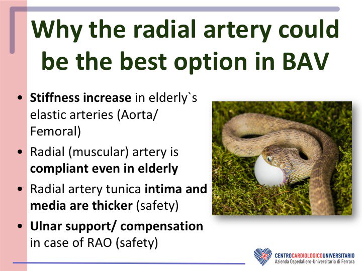 Carlo Tumscitz (@skat_ct) on Twitter photo TWEETORIAL -5 STEPS for #RadialBAV-, 1th step: BASIS (why should I...?🧐)
<a href="/evandrofilhobr/">Evandro Martins F. MD</a> <a href="/aspergian1/">Jack Hall</a> <a href="/saia_francesco/">Francesco Saia</a> <a href="/PCRonline/">PCRonline 🫀</a> <a href="/nolanjimradial/">Jim Nolan</a> <a href="/RadialFirstBot/">RadialFirstBot</a> <a href="/radialfirst/">radialfirst</a> inspired by <a href="/Costa_F_8/">Francesco Costa</a> TWEETORIAL -5 STEPS for #RadialBAV-, 1th step: BASIS (why should I...?🧐)
<a href="/evandrofilhobr/">Evandro Martins F. MD</a> <a href="/aspergian1/">Jack Hall</a> <a href="/saia_francesco/">Francesco Saia</a> <a href="/PCRonline/">PCRonline 🫀</a> <a href="/nolanjimradial/">Jim Nolan</a> <a href="/RadialFirstBot/">RadialFirstBot</a> <a href="/radialfirst/">radialfirst</a> inspired by <a href="/Costa_F_8/">Francesco Costa</a>