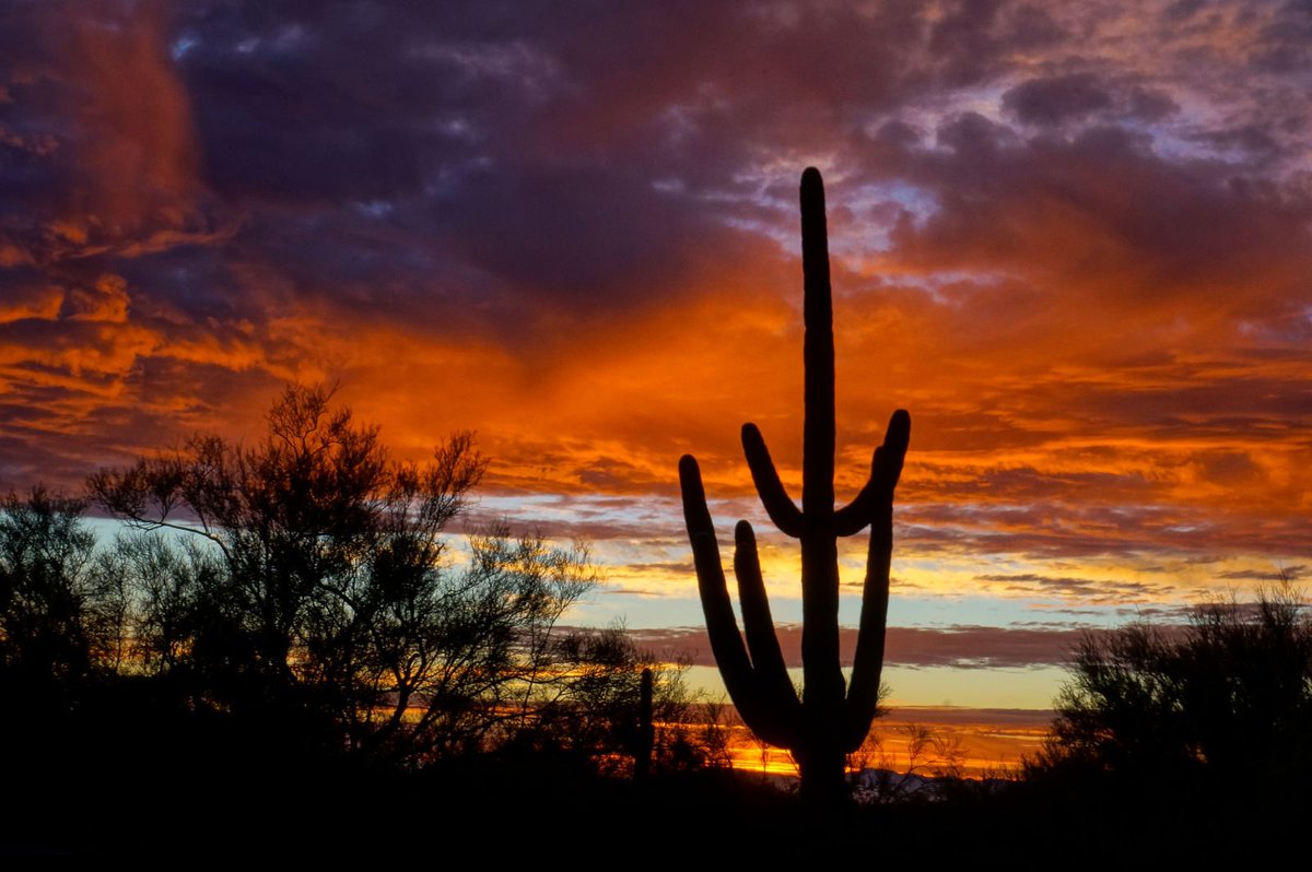LoveYourRV's tweet image. Something special about an Arizona sunset