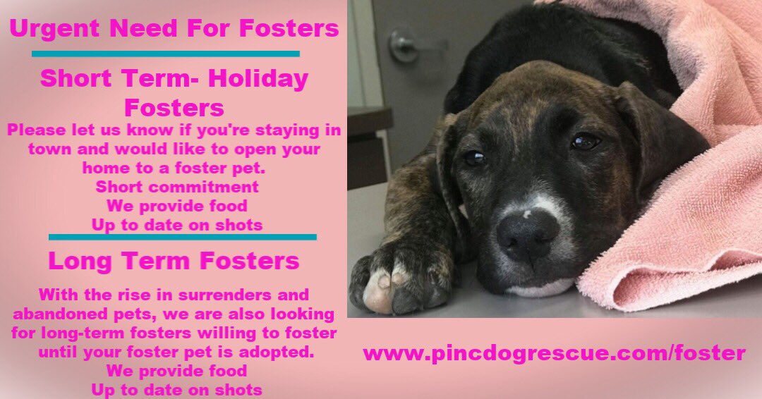short term animal fostering