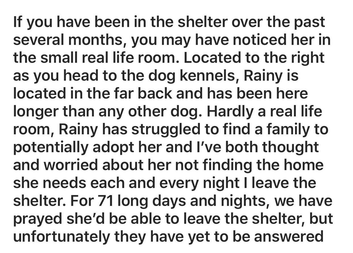 ToledoHumaneSociety tweet media