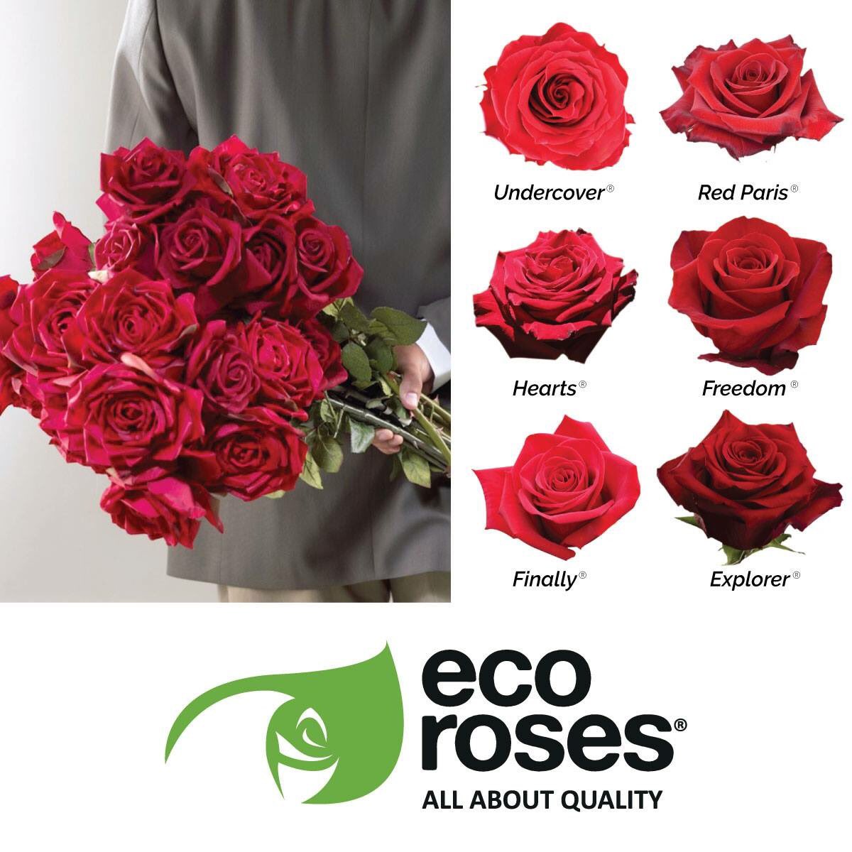 EcorosesSA's tweet photo. Get a step ahead! โค๏ธ Pre-book your Valentineยดs favorite roses? #Red #RedRose #Finally #Freedom #ValentinesDay #Love #Rose #PremiumQualityRoses https://t.co/ebL5uwx7SK