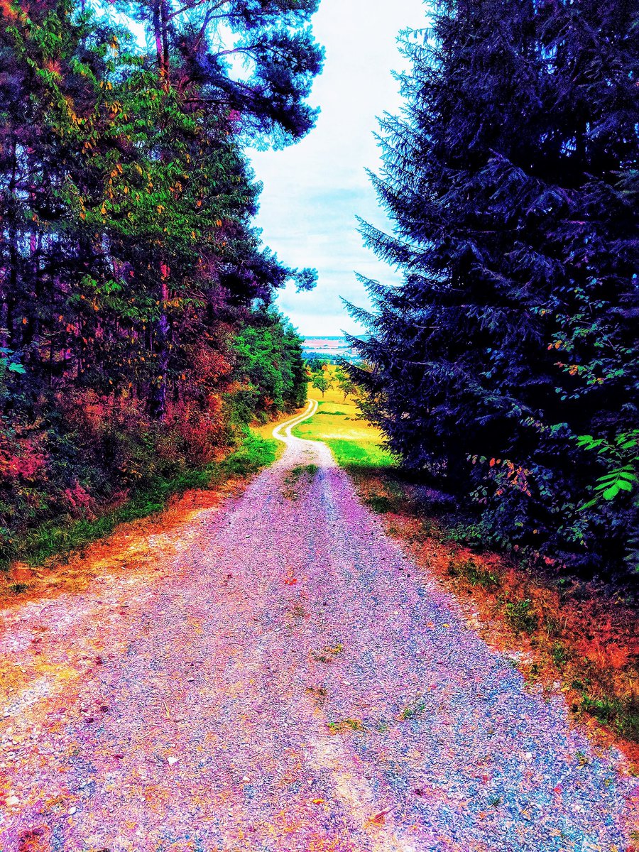 down the winding road