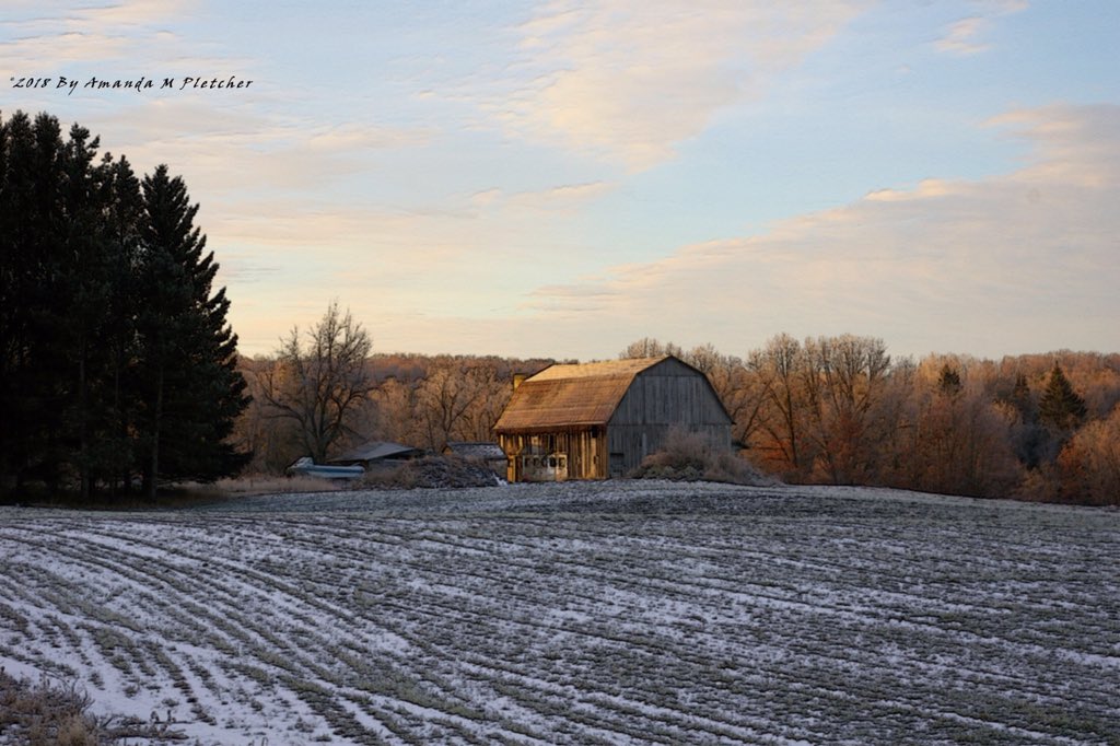 AMPartworksofMI's tweet photo. Just a barn somewhere... 🏞🛣🌅 

#MondayMagic #MondayMotivation #Muskegon #Michigan #ArtPhotography #Morning #Winter #December #RoadTrip #Painted #AMPartworksofMI #WestMichigan #Scenic #Country #Sky #Barn #Trees #Visuals #Art #Photography #GreatLakes #Create #Happy

❤️🌲🌤✨ https://t.co/HeXCDaVshs