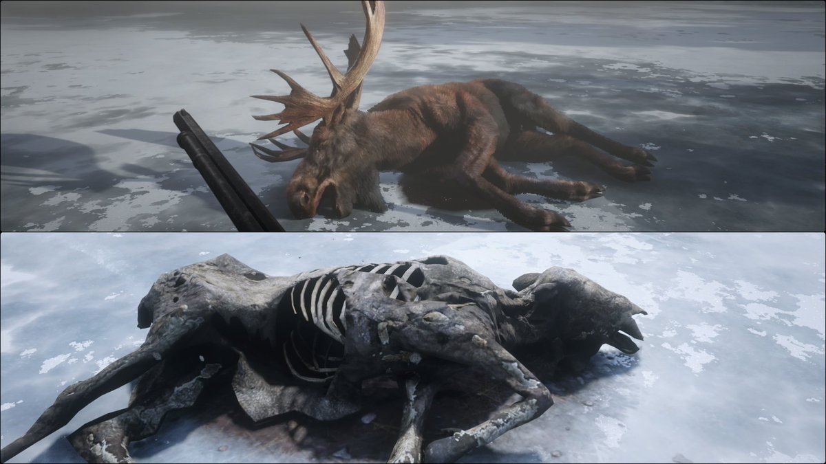 Sentientfart's tweet image. Animals decompose after long periods of time in RDR2 #PS4share
