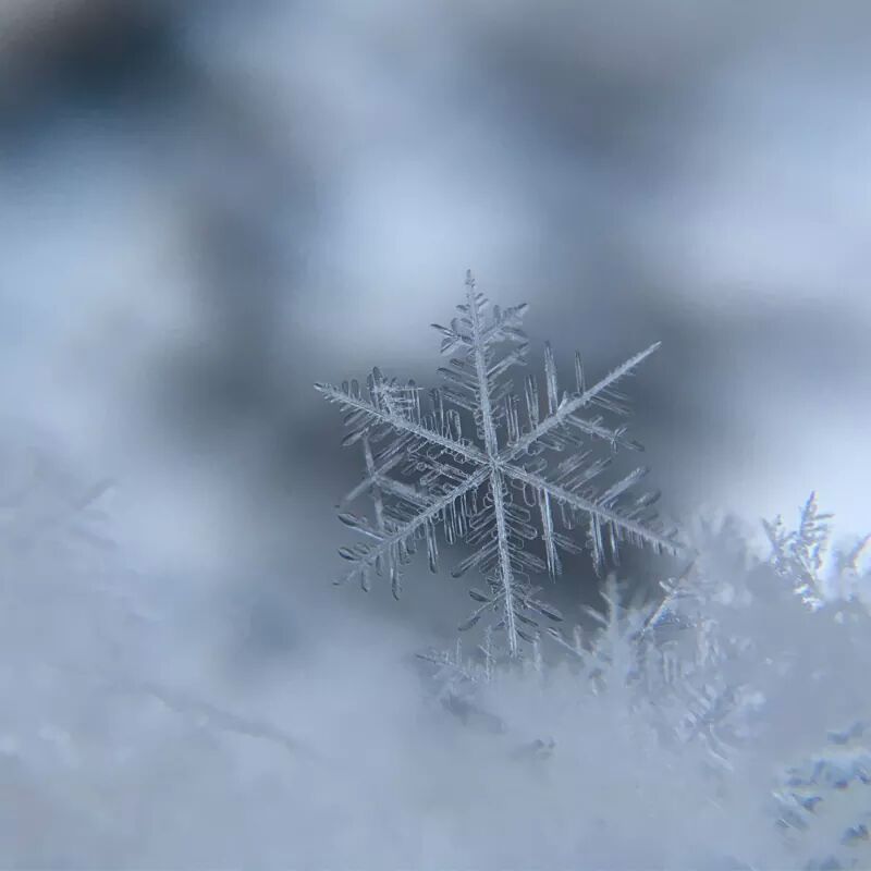 당신이 마음을 다해 
간절히 
원하는 것이 있다면
그것을 절대로 
포기하지 마세요.
인생을 걸어 볼만한 것을
찾기란 결코 쉬운 일이
아닙니다.
정말 원하는 것을 발견한
자체가 위대한 기회입니다.
절실하다면
결코 포기하지 마세요.
-꿈꾸며
살아도 괜찮아-중에서