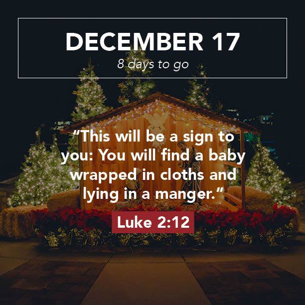 #CountdowntoChristmas #god #Christmas #jesus #CatholicTwitter #CatholicChurch #school #Jesus #JesusChrist #Prayers #Pray #PrayTheRosary #chatholicshcool #hailtheking #VirginMary #AMDG #MondayMotivation #Glory2God  #Advent #love