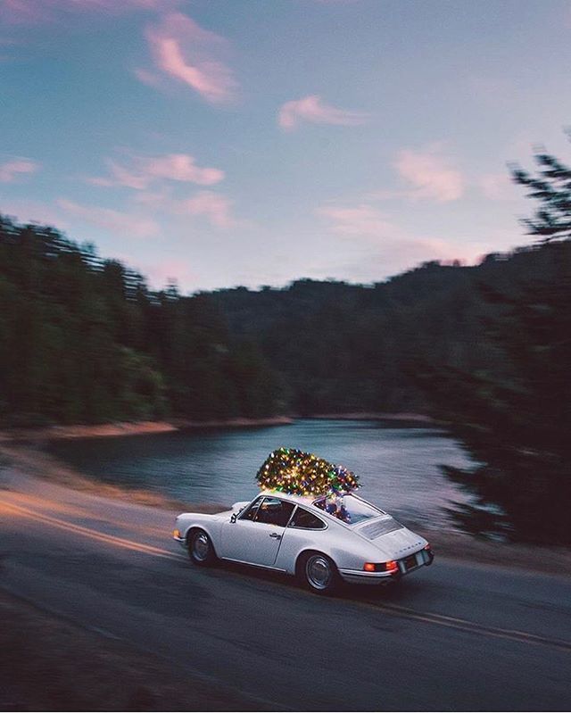 _guyatlas's tweet photo. It’s beginning to look a lot like a 911 Christmas 🎄 @huckberry .
.
#911 #porsche #germancars #christmas #christmastree🎄 #christmastree #christmastime #holidayspirit #holidaynight #holidays #porsche911 #porschemoment #carlover #germancar #drivetime #h… https://t.co/VmTpP9m70J https://t.co/BVMArzE2xH