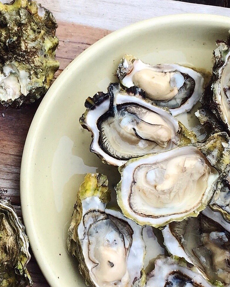 YuzuLondon's tweet photo. The most tender and delicate of all seafood... Irish #Oysters. Here at Yuzu we serve it with #Ceviche Dressing and #Samphire. Delicious combination! #LondonRestaurant #Shoreditch #LondonFood https://t.co/3LkyYuZnuE