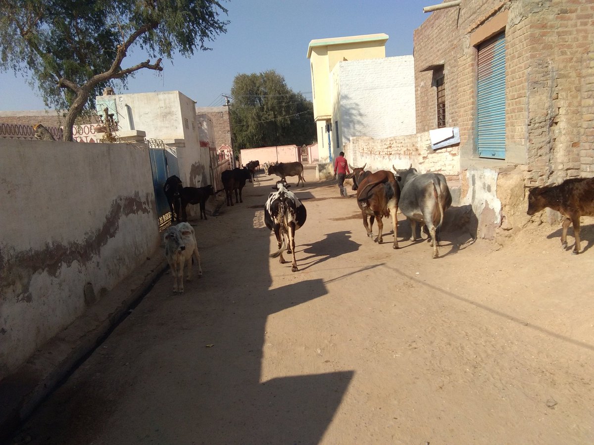 abdullodra's tweet image. #जलदाय_विभाग
#Water_problem

youtu.be/5AwNIsMqtv4