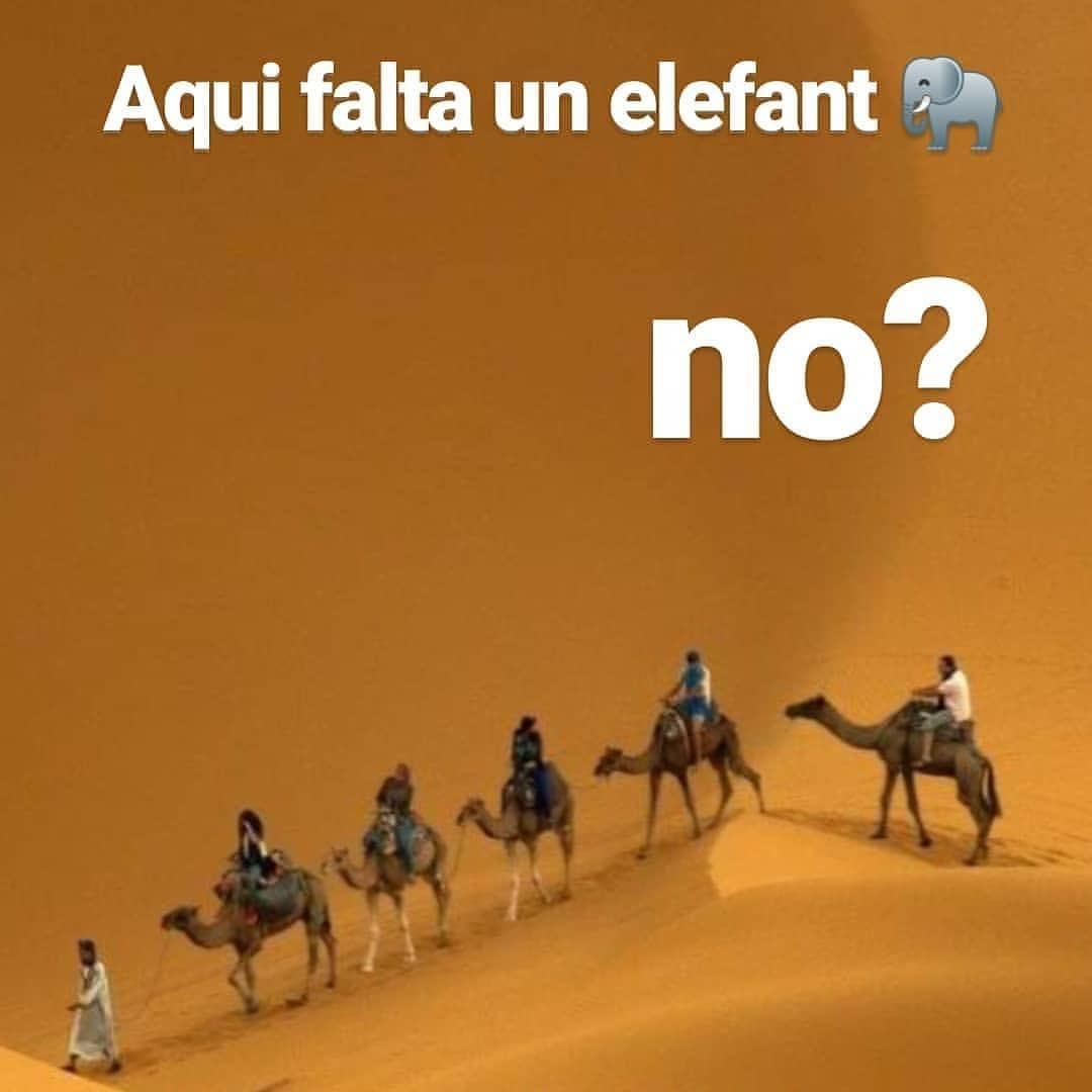 El 27 de desembre i el 2 de gener 🎄 vine al centre #rubicity per la tarda i busca a #bojum #ElefantdeRubi , t'explicara la nova aventura 🐘#somanimaciodecarrer #somculturarubi #somculturapopular #nadal2018