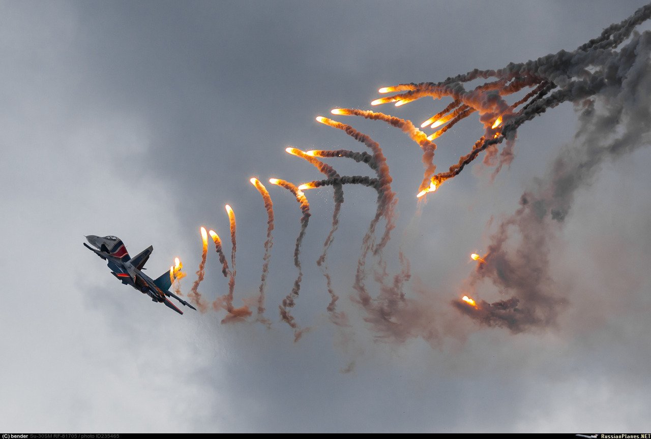 ウルフワーク Amazon Co Jp