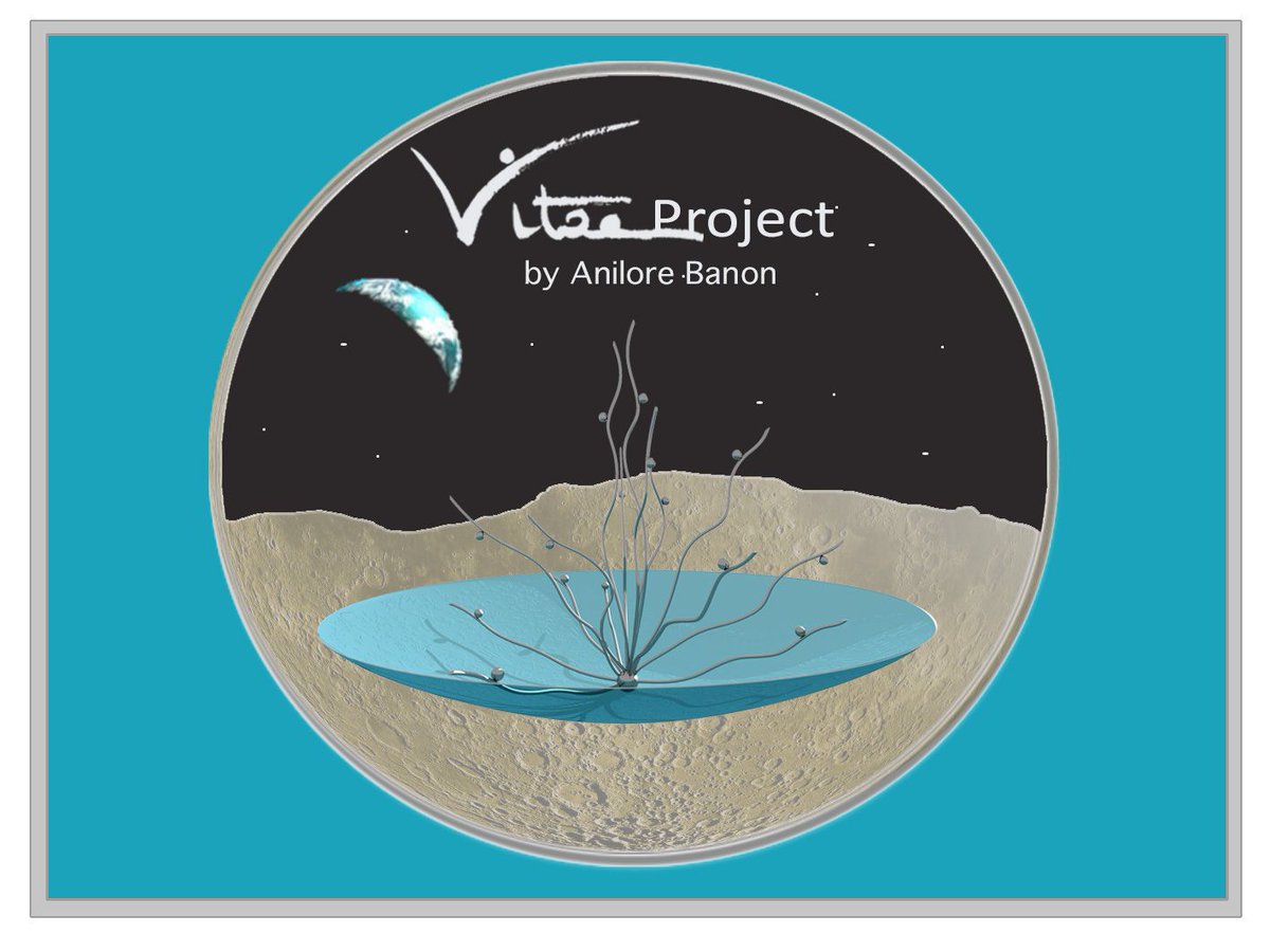AniloreBanon's tweet photo. Discover my patch! 👀😎 
#VITAE #anilorebanon #ISS #Nasa #VitaeProject #VitaeDiary #tothemoon #space https://t.co/5wGI5R1y9l