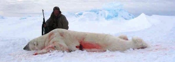 Polar bears are ENDANGERED. Killing polar bears for a “trophy” is LEGAL. Retweet/share if you agree killing polar bears should be ILLEGAL! #bantrophyhunting