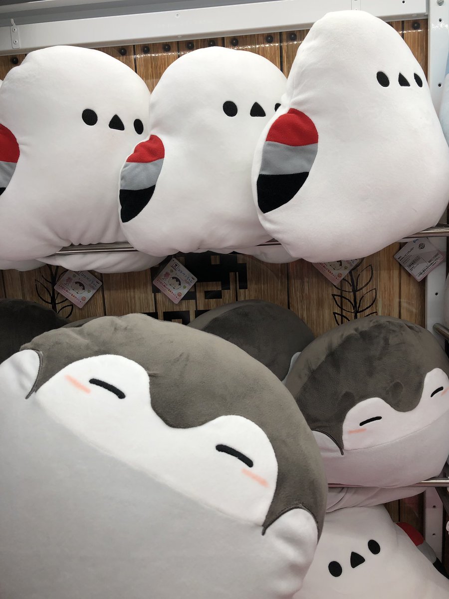 1Fクレーン】本日入荷⑤『#コウペンちゃん 」から、もう1アイテム