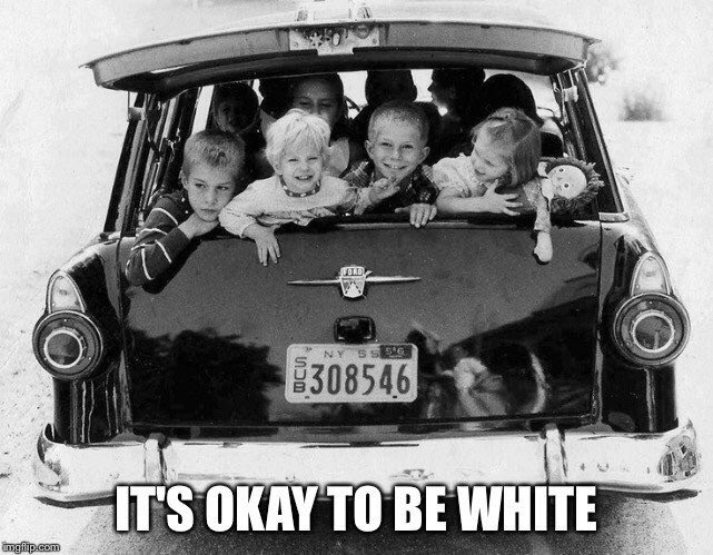 ShaneDorfling's tweet photo. @HarmlessYardDog #ItsOkayToBeWhite
#ZeroWhiteGuilt 
#WhiteIsBeautiful 
#WhitePride 
#WhiteIsPurity
#ILoveBeingWhite
#ProudToBeWhite https://t.co/Z7AQLY2cJk