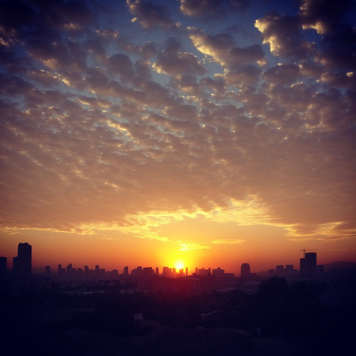 Aoooookz's tweet photo. @BuckyCloud 昨晚的厦门 https://t.co/MQErqDE6Qq
