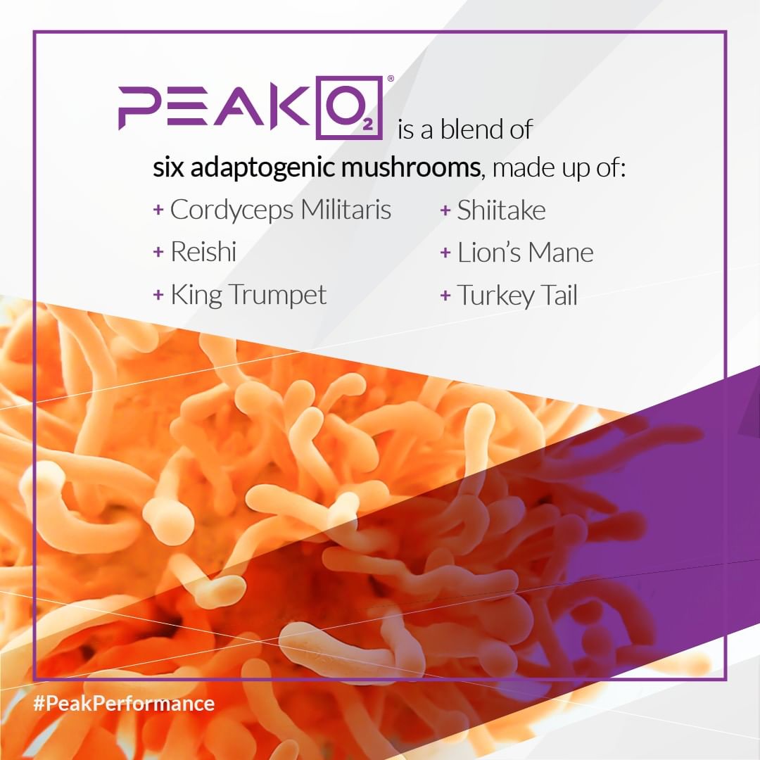 PricePlow's tweet photo. Don't forget to check out our recent @Scivation Xtend and @CompoundSolInc Cordyceps / #PeakO2 articles!
https://t.co/D4CsrFE7Ki
Six mushrooms in PeakO2... Six constituents in VASO-6... hmmmm! https://t.co/EAgInRM3Ca