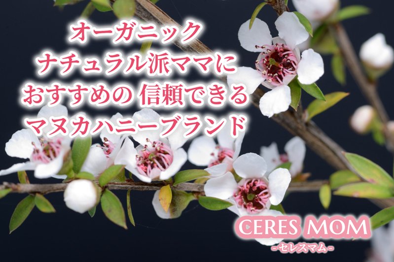 Ceres Mom セレスマム Nz政府が15年に公式に認めたマヌカハニー の認証基準であるumf Mgo Mgsを取得している本物のオーガニックマヌカハニーブランドをご紹介しています マヌカハニー はちみつ オーガニック T Co Lt9spuumht T Co