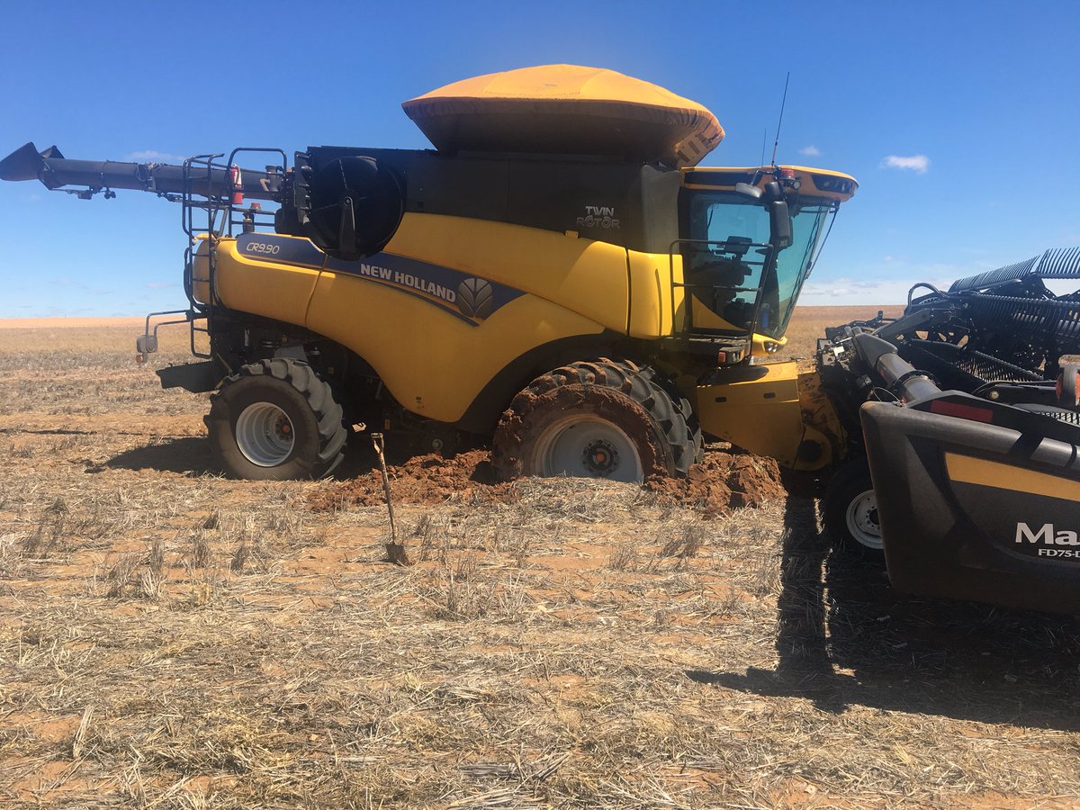 And 2018 throws another curve ball at us, 😡if the chickpeas germinated they would have be set for the year will the amount on subsoil moisture found in this little patch

Ya got to love farming, never a dull moment