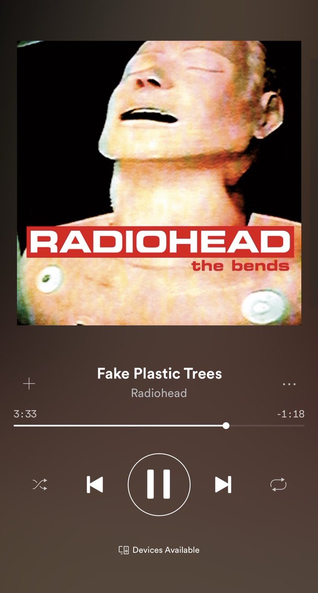 Grace Gorman (@gracegorman3) on Twitter photo 