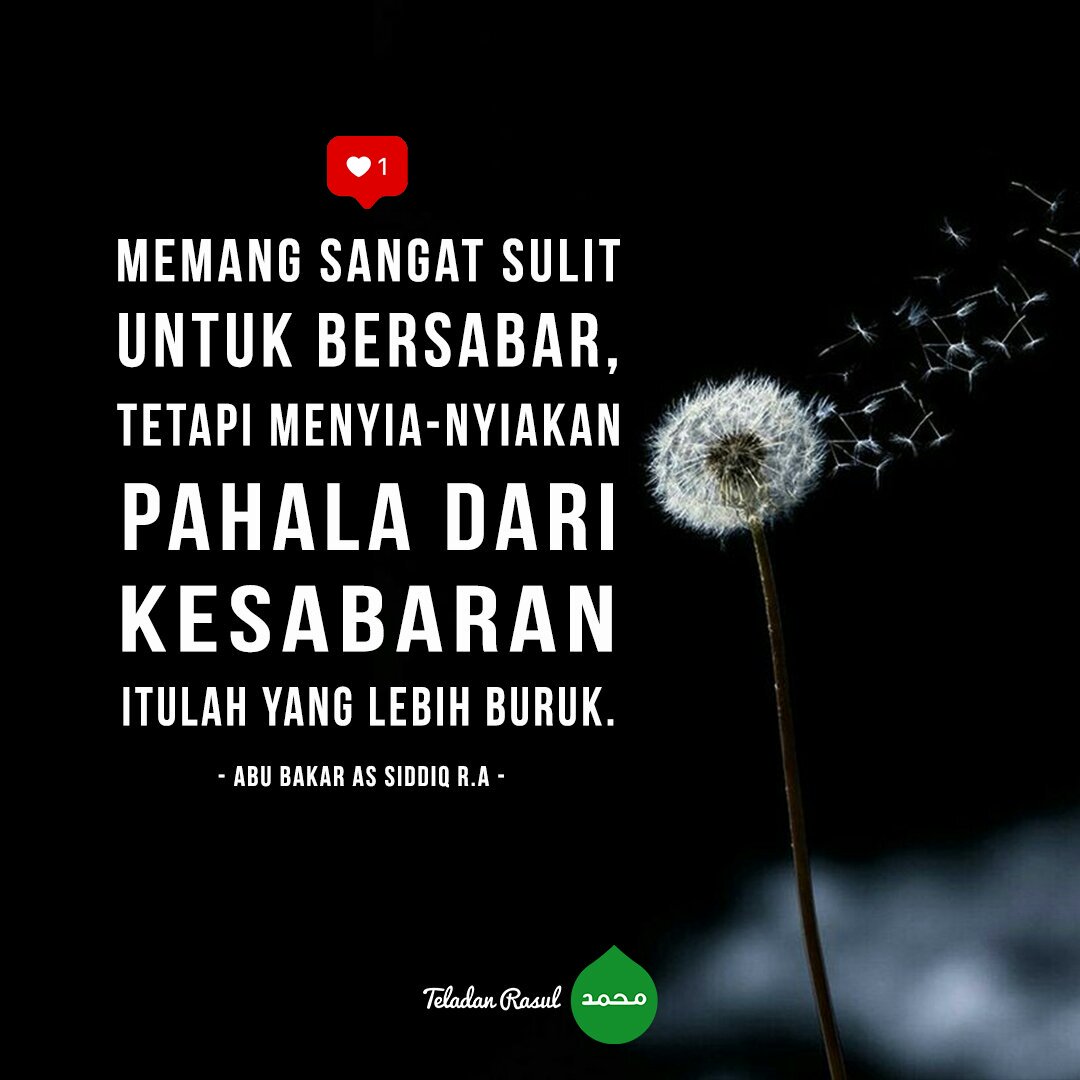 TeladanRasul's tweet photo. Mudah-mudahan ini menjadi motivasi kita untuk selalu bersabar . . #TeladanRasul https://t.co/VJOweKjwVk
