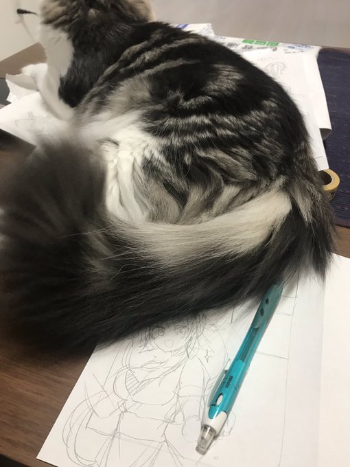 ããŒã ããŠãŸã