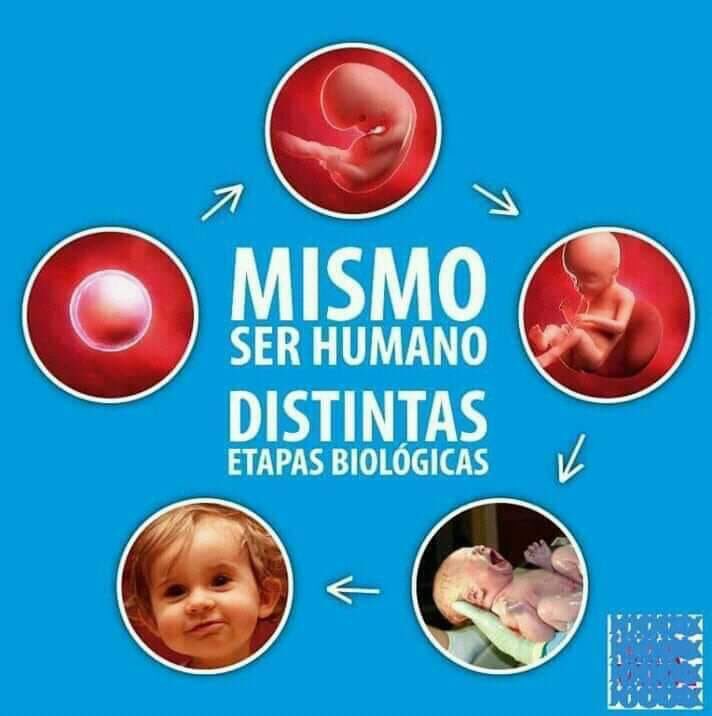 Vicente Friedch Castel 🇨🇱 🇩🇿 tweet media