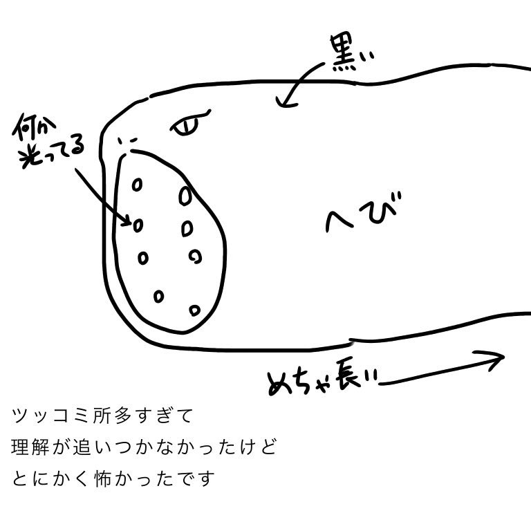 すんごいでかい蛇に追われる夢見て
なんか意味あるのかなって調べたら、
病気や事故に気をつけろっていう警告らしい。大蛇だったらその警告レベルは高まるって…

でもその蛇ジェットエンジンになって飛んで追っかけても来たんだけど(私も空飛んで逃げた)、蛇と呼べるのか否か 