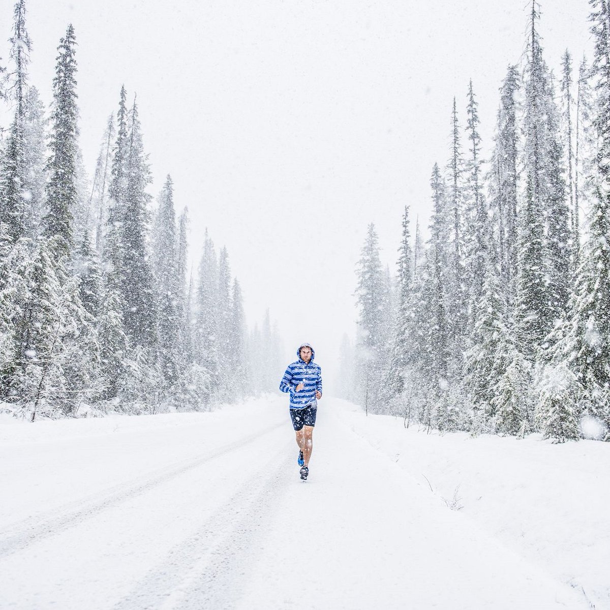 MDUBActive's tweet photo. When the trails are covered in white stuff, follow these steps to get the most out of your run https://t.co/dEsLrT9vew #Snowfall #Run #Running #Runner #MDUB #Utahrun #Gorun #Runyourself #Bestrunner #Utah https://t.co/pT28W1LgOO