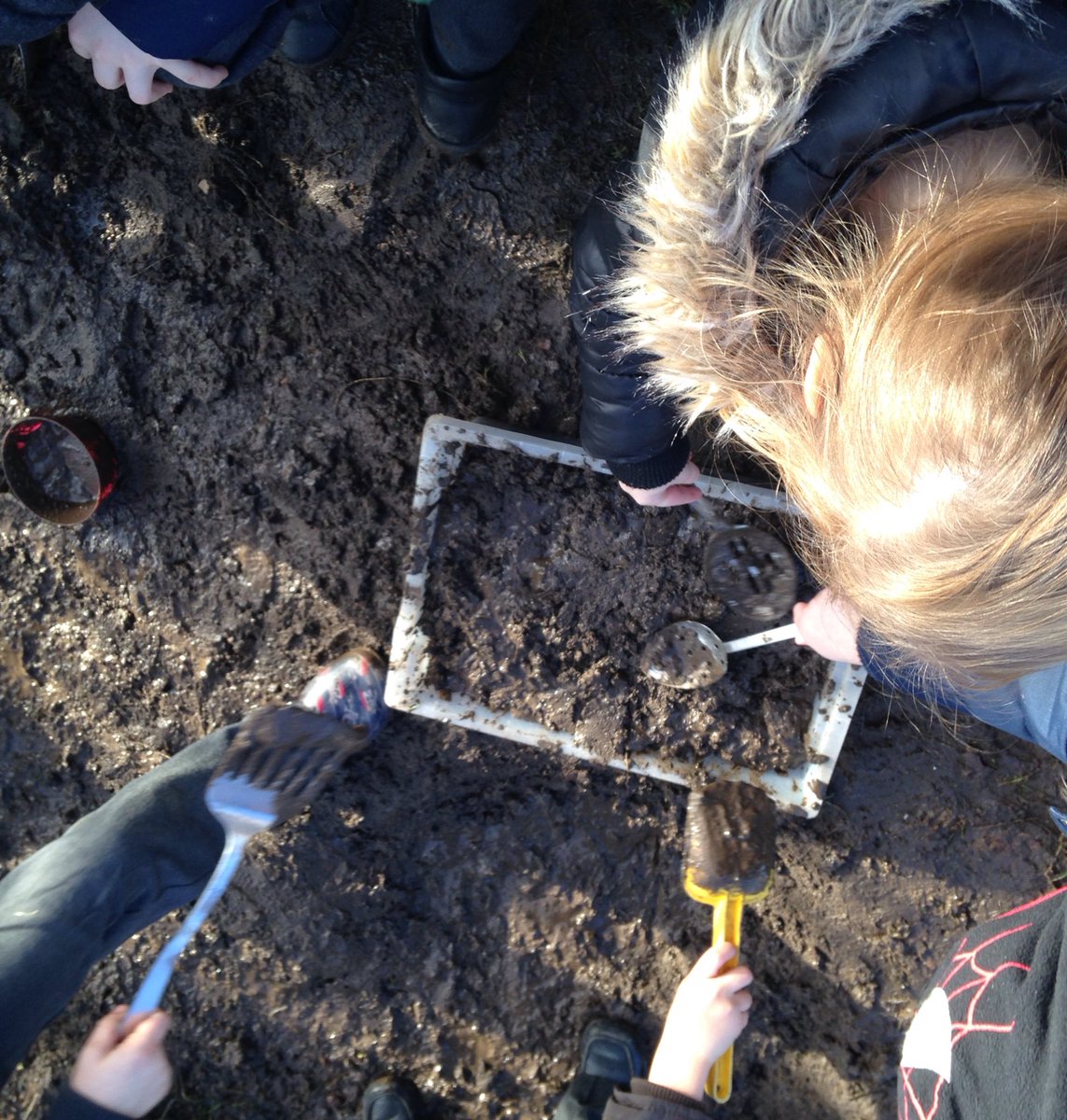 Early Years NLC tweet media