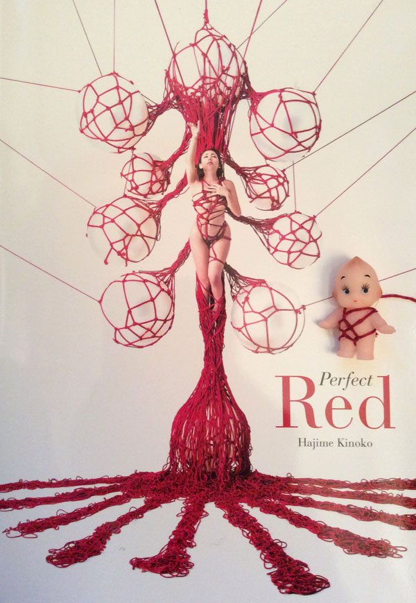 Perfect Red Hajime Kinoko アートブック VITAL MATERIAL × Hajime