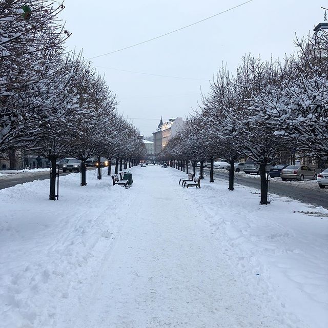 Studio TILT tweet media