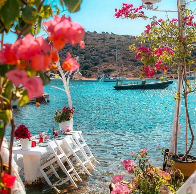 Adelphia_Tours's tweet photo. Migliaia di chilometri di meravigliosa costa tra tipiche cittadine e villaggi di pescatori, baie e calette nascoste, costoni di roccia a picco sul #mare e #spiagge di sabbia finissima. Eccovi il mare della #Turchia !
https://t.co/KFrXfwNPoC
#Istanbul #Cappadocia #viaggi #viaggio https://t.co/7XfdaRIBqq