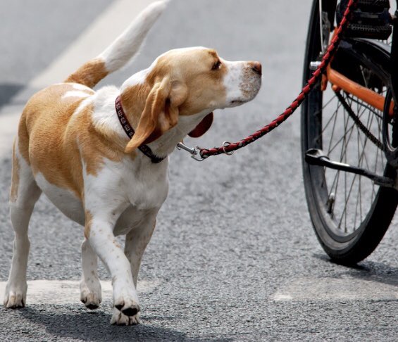 MATCH3333's tweet image. 