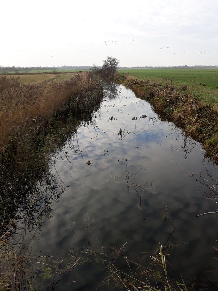 Watergangen in natuurgebied de Deelen weer helemaal klaar voor de Deelentocht op de schaats.