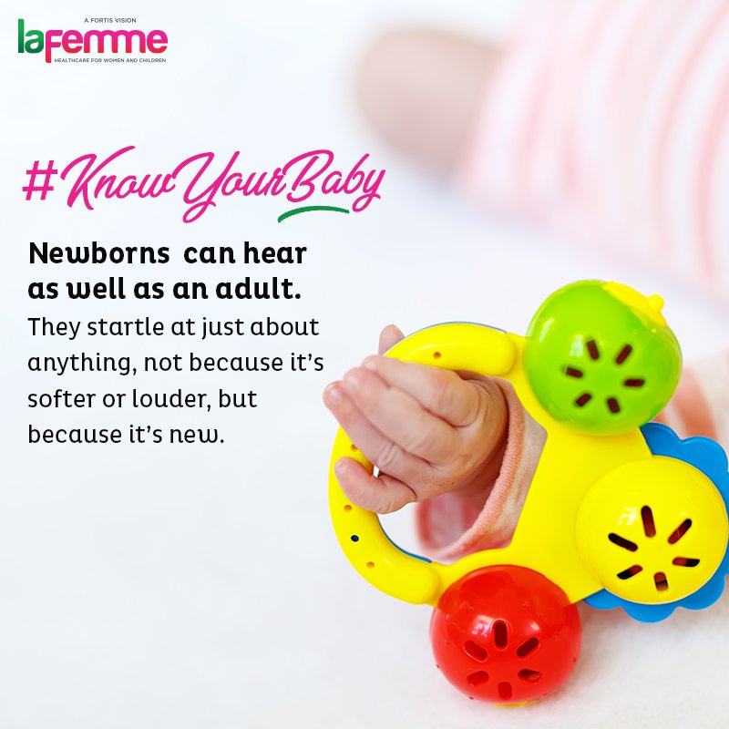 Fortis La Femme tweet media