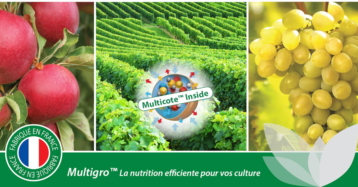 HaifaGroup's tweet photo. Une seule application de Multigro™, engrais enrobé à libération contrôlée, garantit une mise à disposition progressive des éléments fertilisants en corrélation avec les besoins des cultures: https://t.co/8eCenuRcH5
#HaifaGroup #HaifaFrance #Multigro #CRF #Fertilisants https://t.co/R9GVQqFcXg