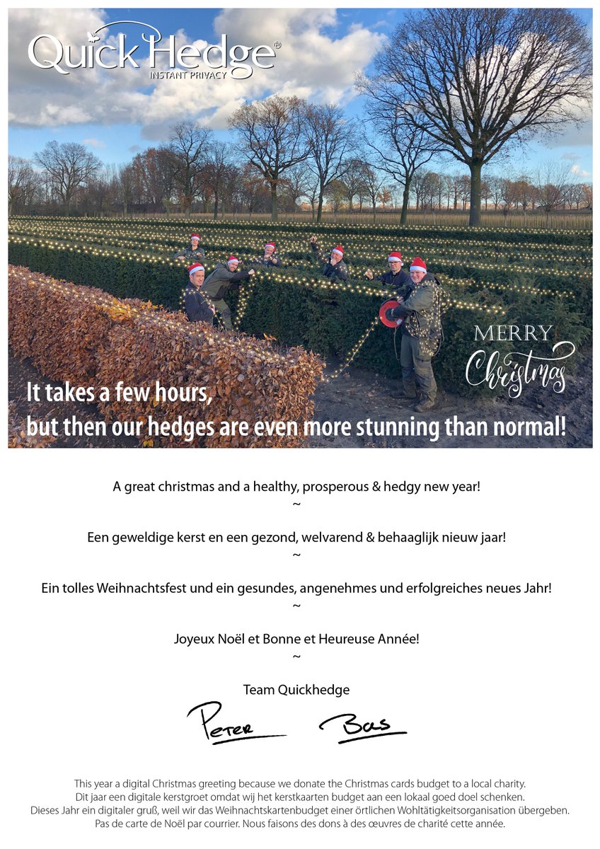 Instant hedges (@instanthedge) on Twitter photo 