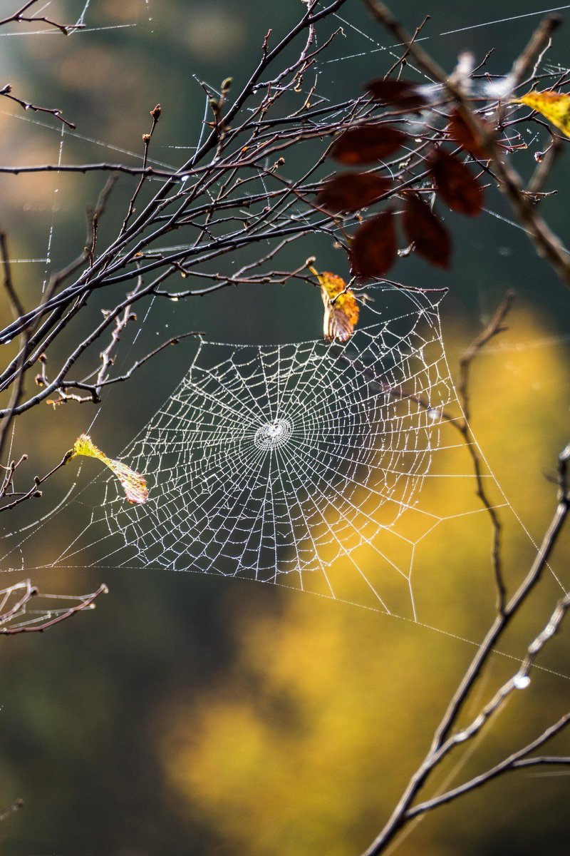 능력이 뛰어나도 
노력하지 않는다면
소용이 없는 것 이고

재주를 가졌어도
써먹지 못하면
필요가 없는 것 이고

배운것이 많아도
사용하지 않으면
무용지물이 되는 것 입니다