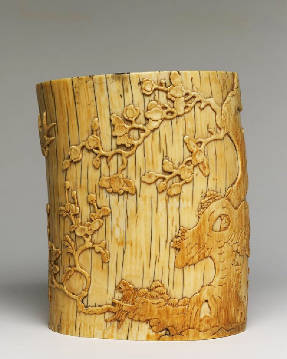 AntiquesMag's tweet photo. #antiqueoftheday ivory brush pot decorated with plum blossom and poem, Ming Dynasty China, c. 1580-1640. Sir Victor Sassoon collection, on loan to the @AshmoleanMuseum. #plumblossom #ivorycarving https://t.co/ylN7oMNWHI