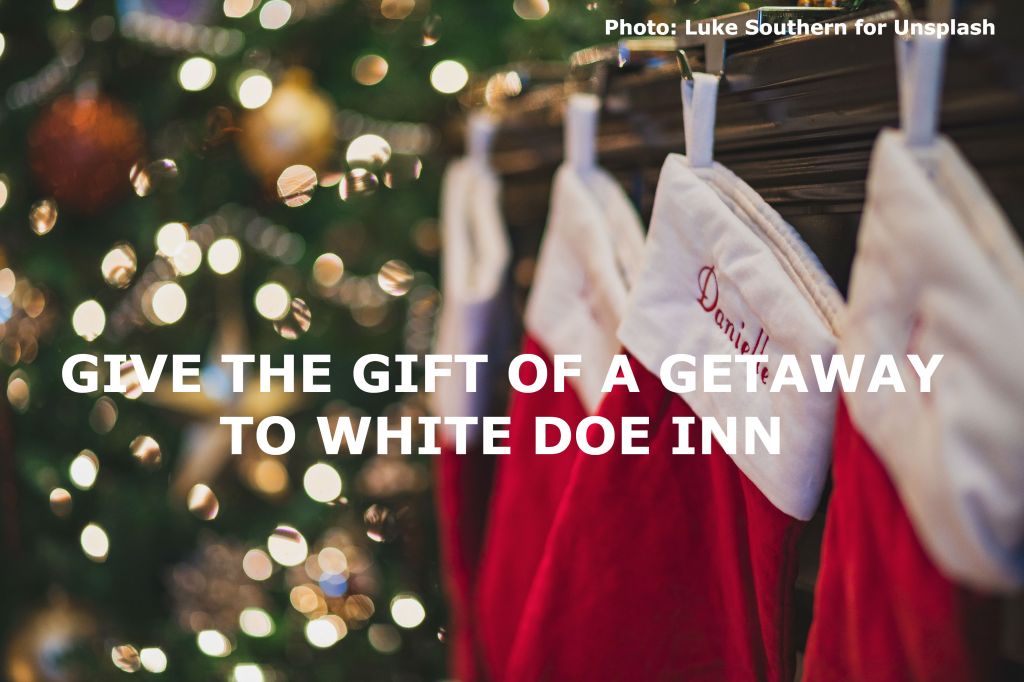 Holiday Gift &amp; Getaway Savings At Top Outer Banks Inn whitedoeinn.com/blog/2018/12/h…