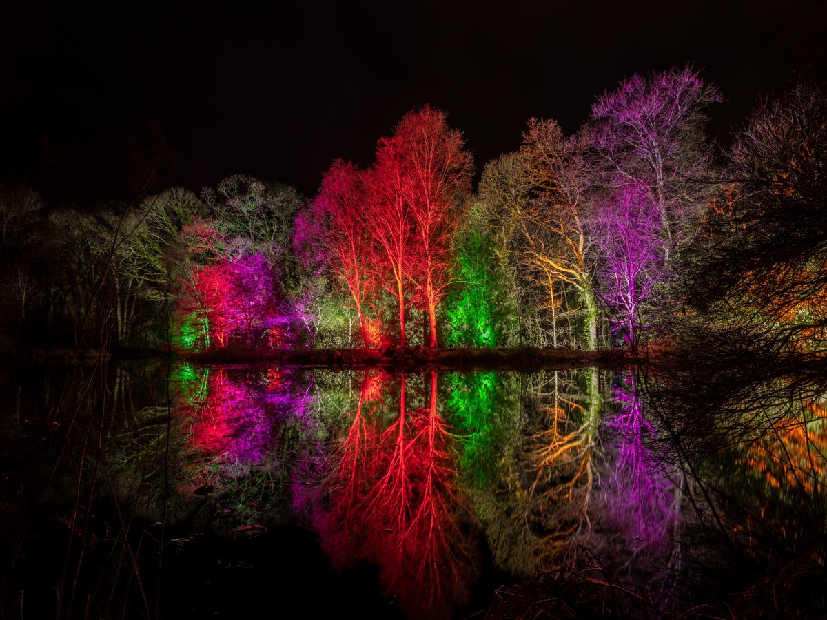 The_RHS's tweet photo. .@RHS_Rosemoor continues to be illuminated by #Glow18 every Thursday, Friday and Saturday.
The brand-new route has been extended to the lake for the first time and has brought the festive magic to the garden.
Take in the stunning displays before 5 Jan:
https://t.co/6bMYqqKH7l https://t.co/RYnlZw7tPr