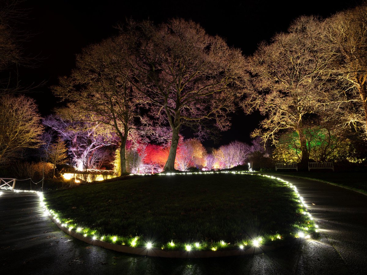 The_RHS's tweet photo. .@RHS_Rosemoor continues to be illuminated by #Glow18 every Thursday, Friday and Saturday.
The brand-new route has been extended to the lake for the first time and has brought the festive magic to the garden.
Take in the stunning displays before 5 Jan:
https://t.co/6bMYqqKH7l https://t.co/RYnlZw7tPr