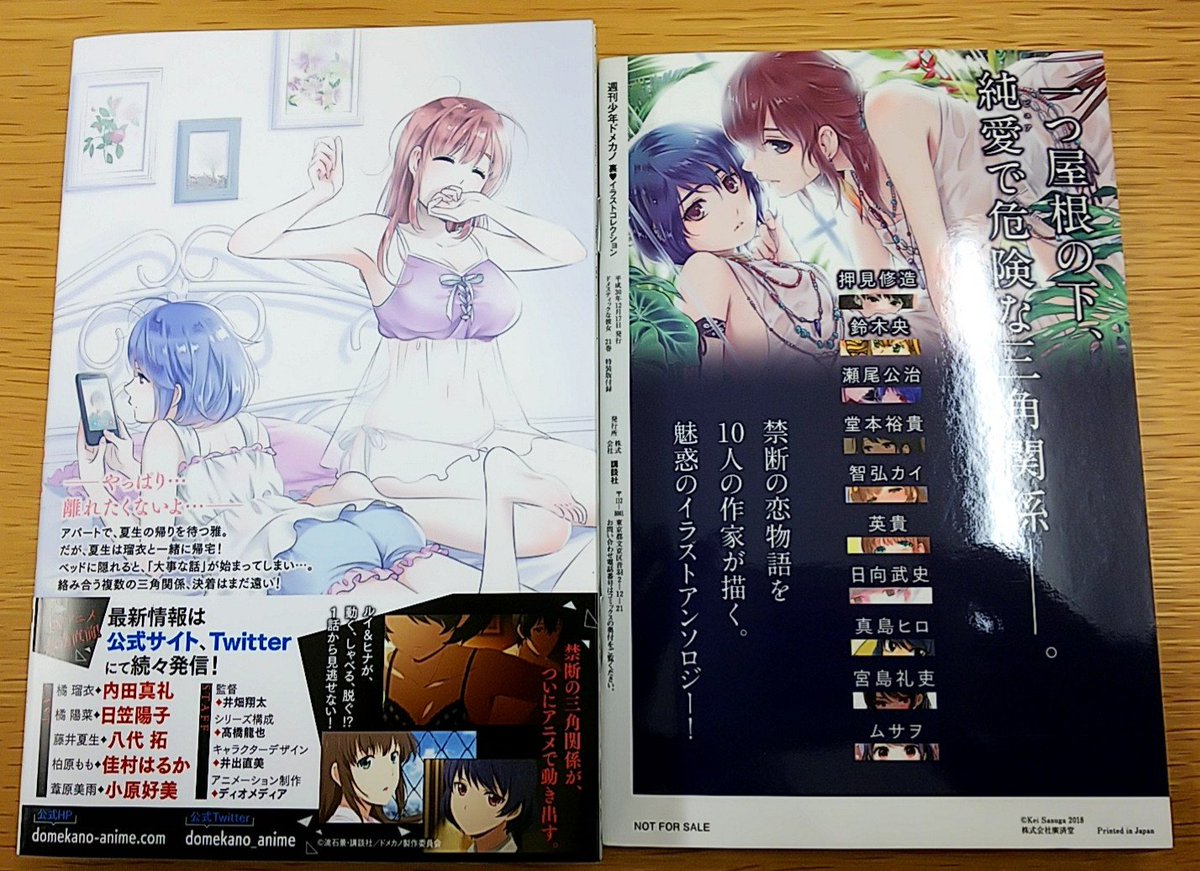 Sousui در توییتر 流石景先生のドメスティックな彼女21巻特装版が届きました O ゲスト作家の先生方のイラスト小冊子がエロいwww 恋と嘘のムサヲ先生のルイがエロかわいい そして22巻特装版を予約しなくちゃヽ ノ 流石景 ドメカノ